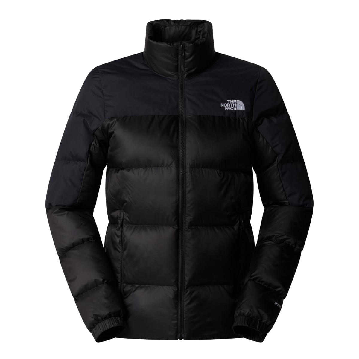 North face 700 fill down jacket women's online