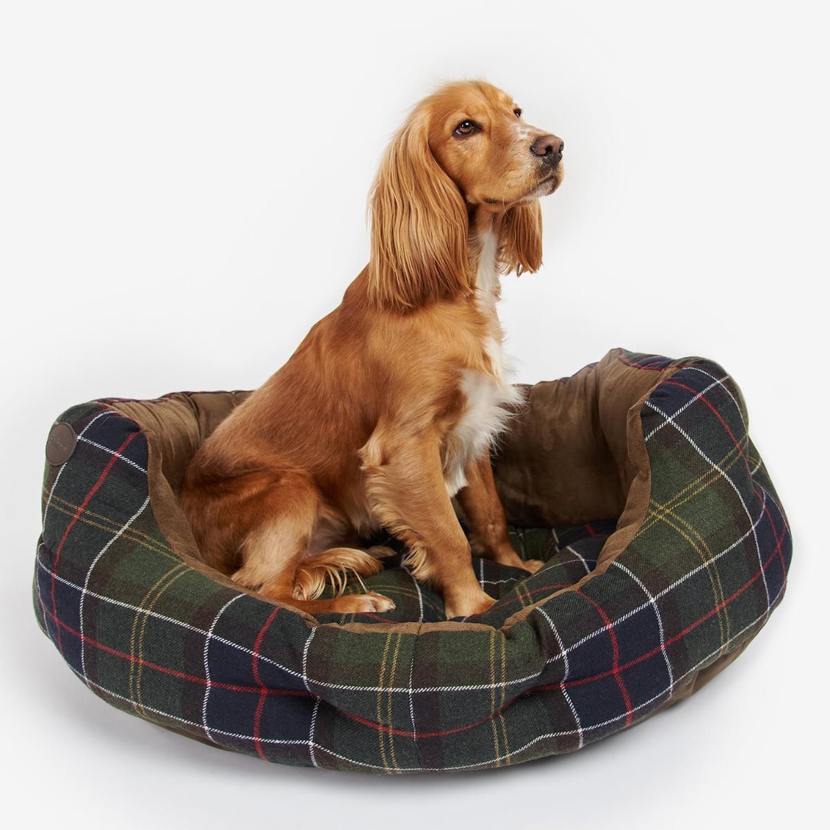 35 inch shop dog bed