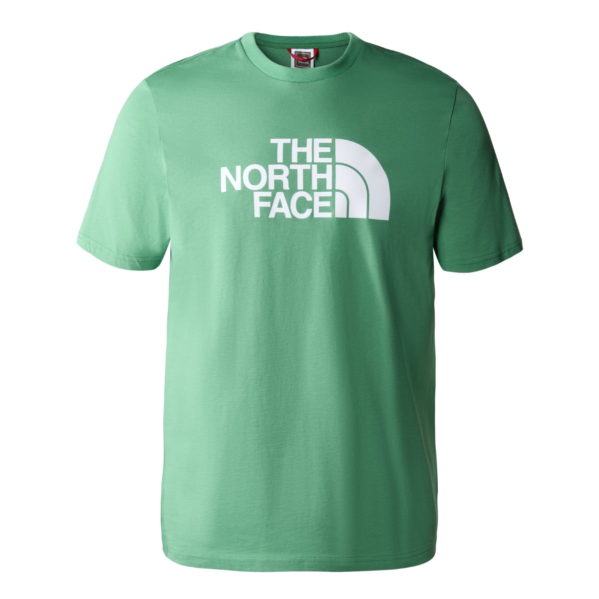 The north face hot sale t shirt green