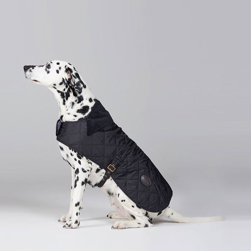 Barbour black quilted sales dog coat