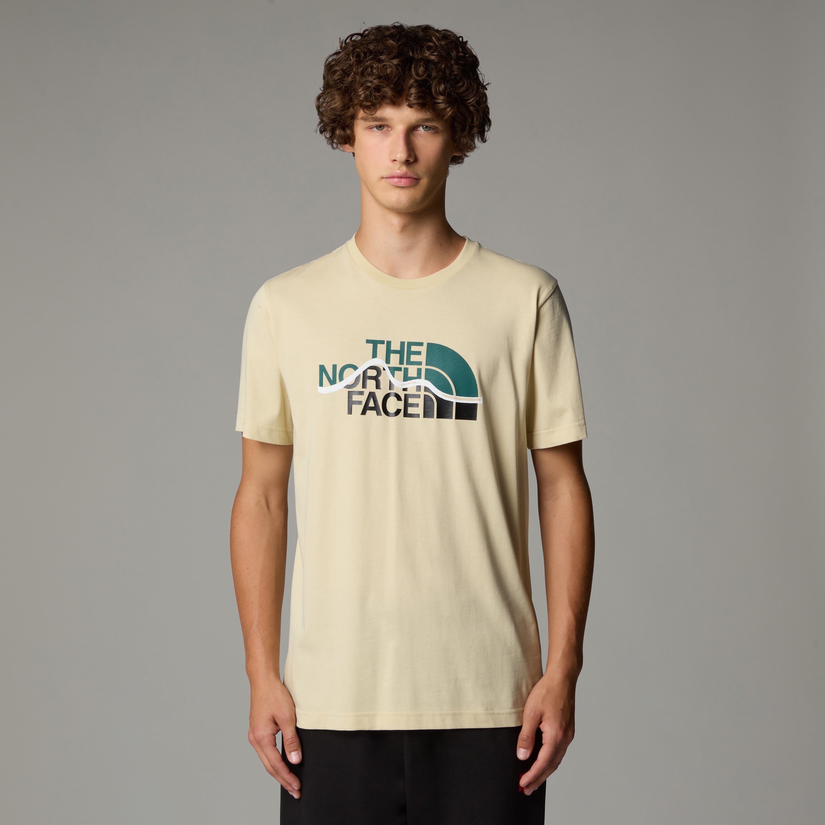 The North Face Mountain Line Men's T-Shirt | Gravel