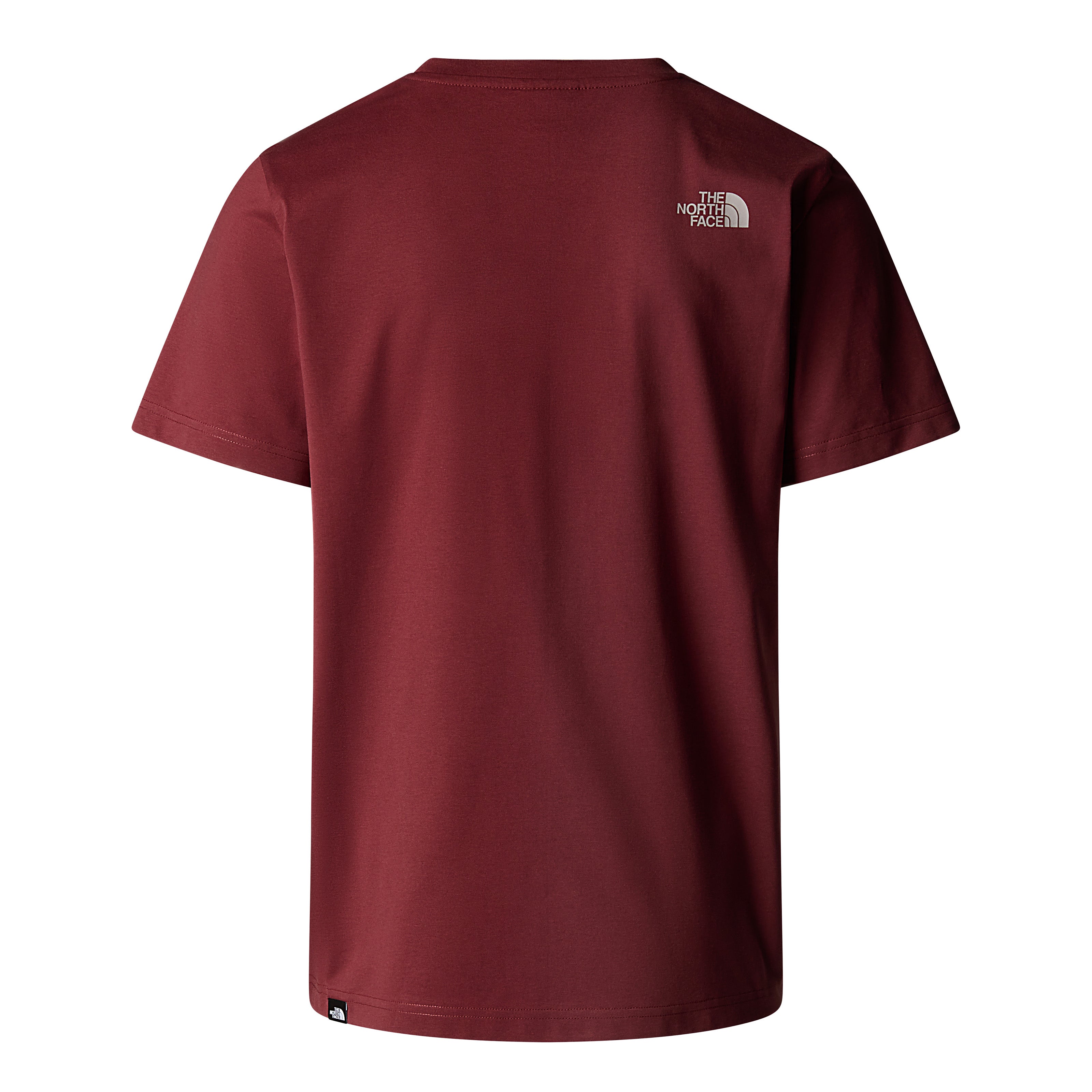 The North Face Easy Men's T-Shirt | Sumac-Moonstone Grey