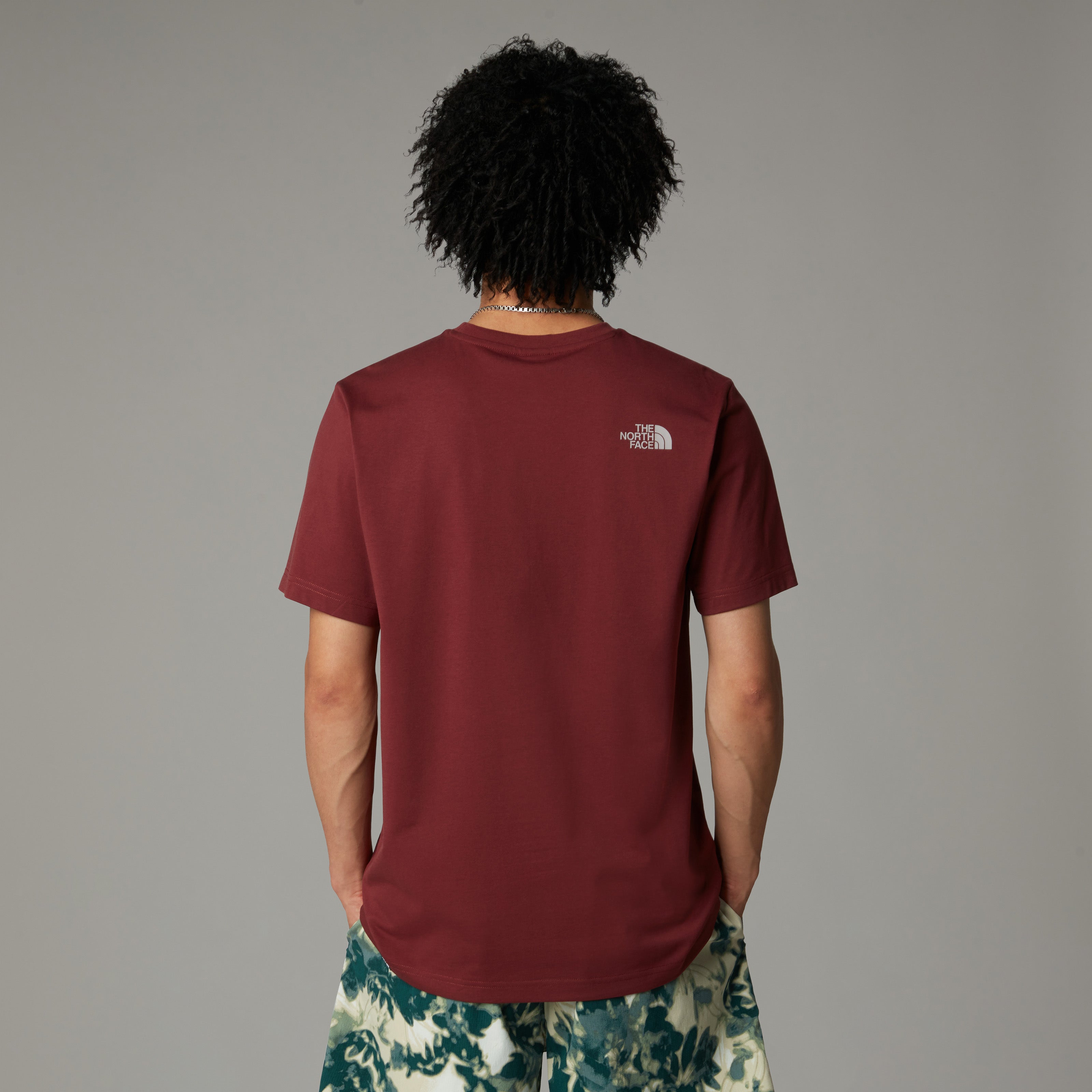 The North Face Easy Men's T-Shirt | Sumac-Moonstone Grey