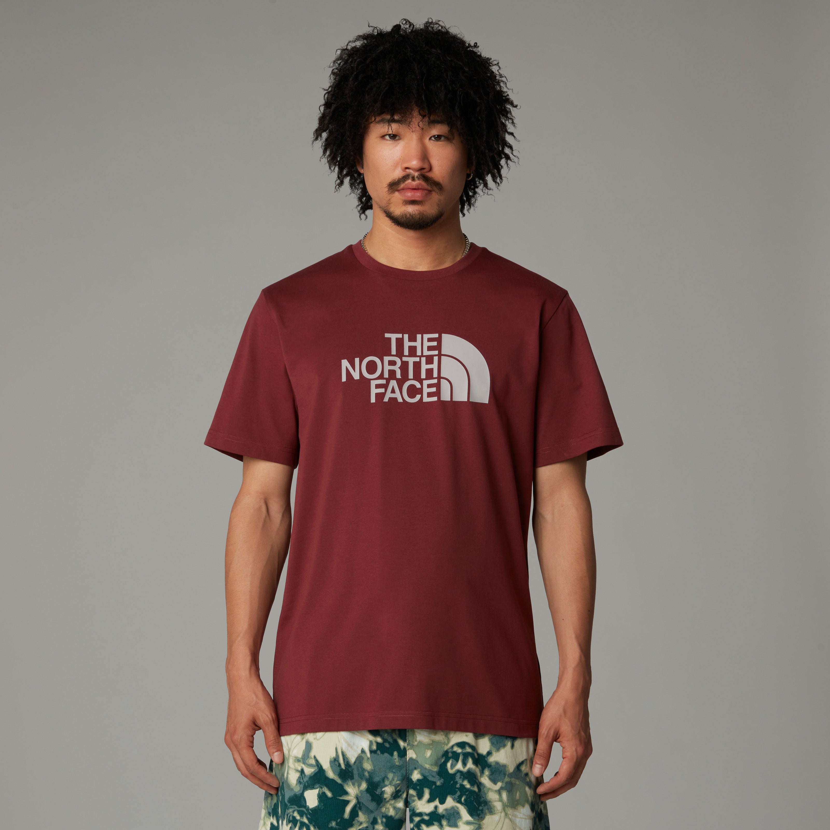 The North Face Easy Men's T-Shirt | Sumac-Moonstone Grey