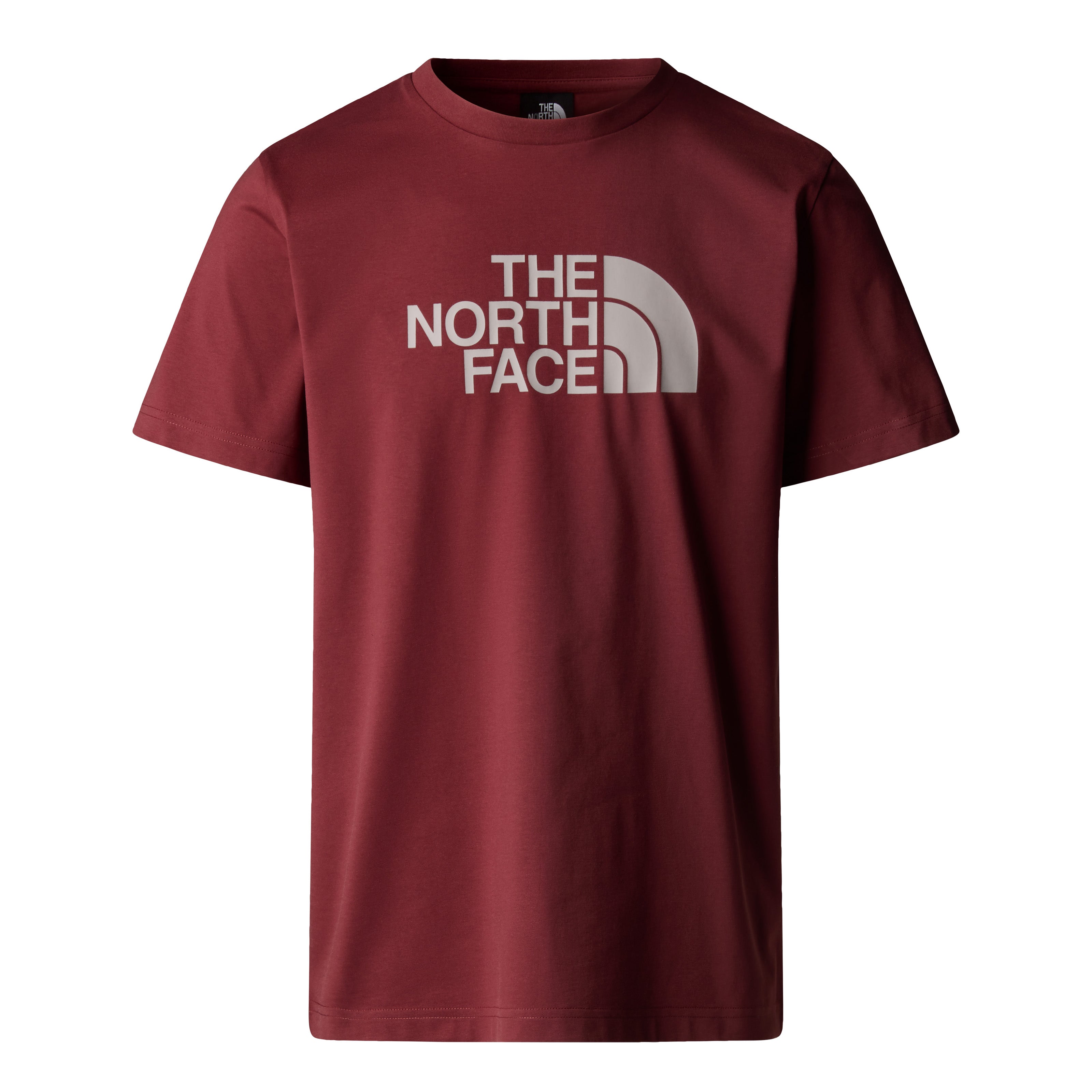 The North Face Easy Men's T-Shirt | Sumac-Moonstone Grey