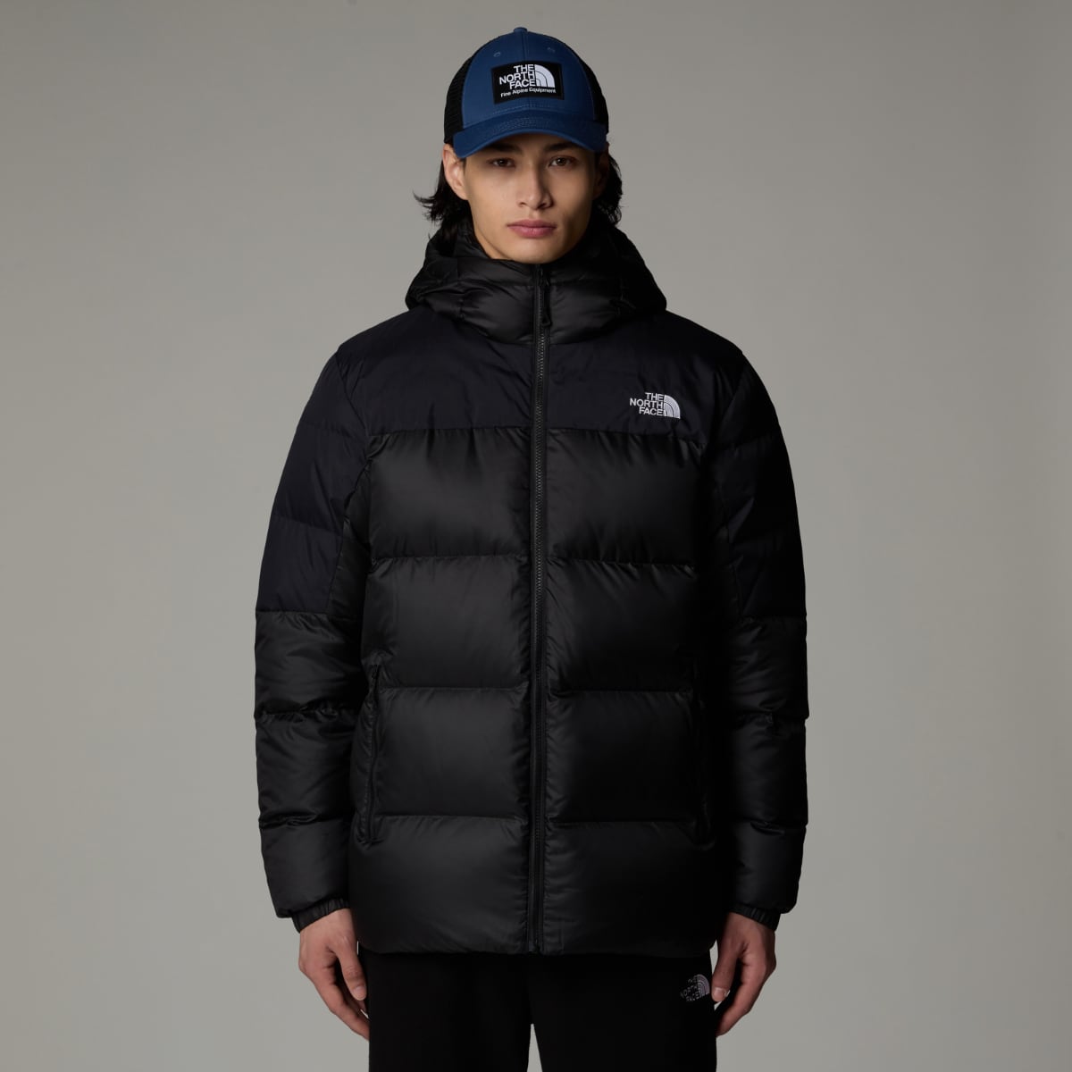 North face mens down on sale