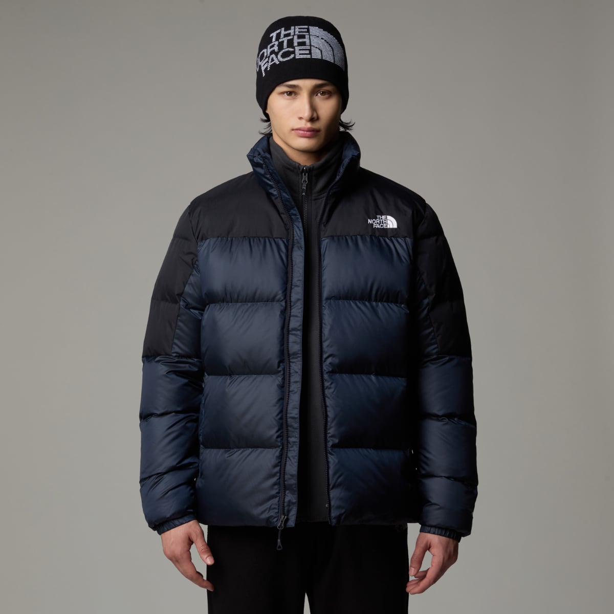 North face down coat mens on sale